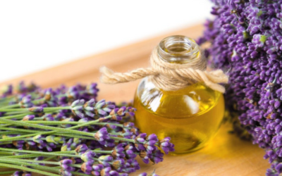 20 Benefits of Lavender Essential Oils for Your Hair, Skin, and Health