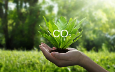 Earth’s CO2 Could Spike to a Level Not Seen Since the Dinosaurs