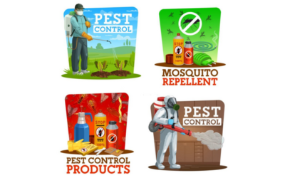 How to Choose Best Flea Fogger for Your House