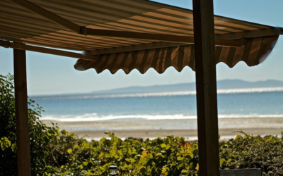 Waterproof Shade Sails: All You Need to Know About