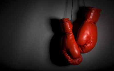 Breaking down Boxing Gloves