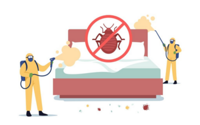 Tips To Prevent And Control Bed Bugs