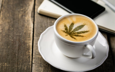 Lowell Farms: A Cannabis Cafe Features “Budtenders” in West Hollywood, LA