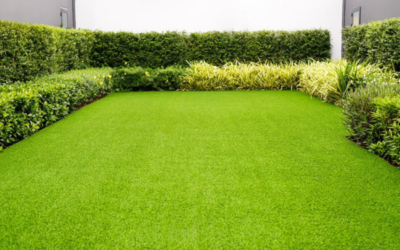 6 Similarities and 5 Differences between Cool and Warm Sod Grass