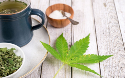 Understanding Hemp Tea: Why Should You be Using It?