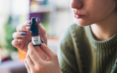 CBD Oil for Dogs, Some Alternatives and Its Uses