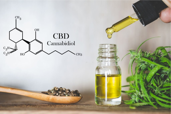What is CBD Rub and What is it Used for? | Lifestyle Glitz