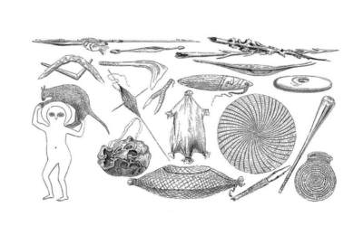 Excavated Skeleton in Australia Suggests “Boomerangs” Were War Weapons