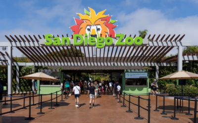 The 100-Years Long Journey of San Diego Zoo In 2016