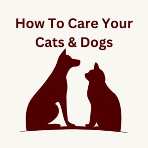 care of your pets