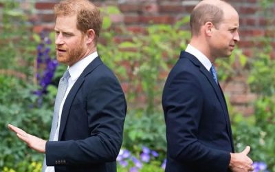 Prince Harry UK Return Impact: Why Prince William Faces a Difficult New Chapter